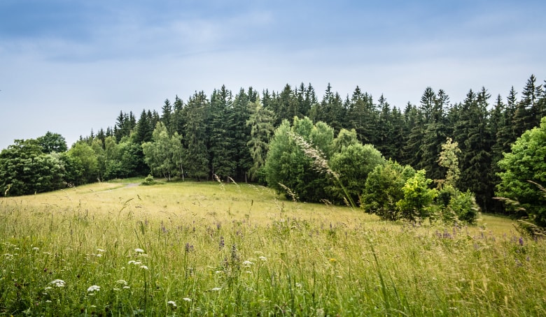 People will get involved in civil society organisation activities