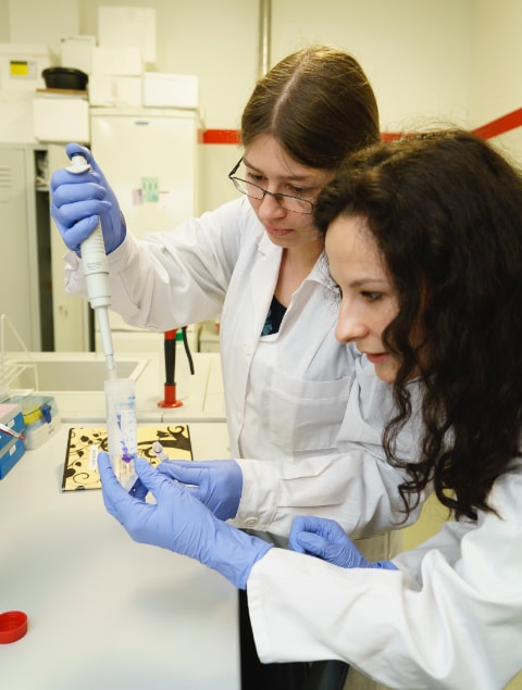 People will get involved in civil society organisation activities